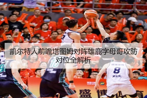 凯尔特人前瞻塔图姆对阵雄鹿字母哥攻防对位全解析